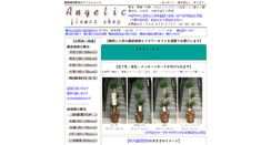 Desktop Screenshot of angelic-fs.com